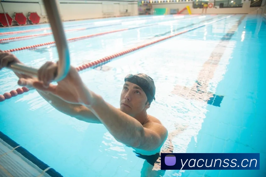 半岛网页版登录入口APP 封面图